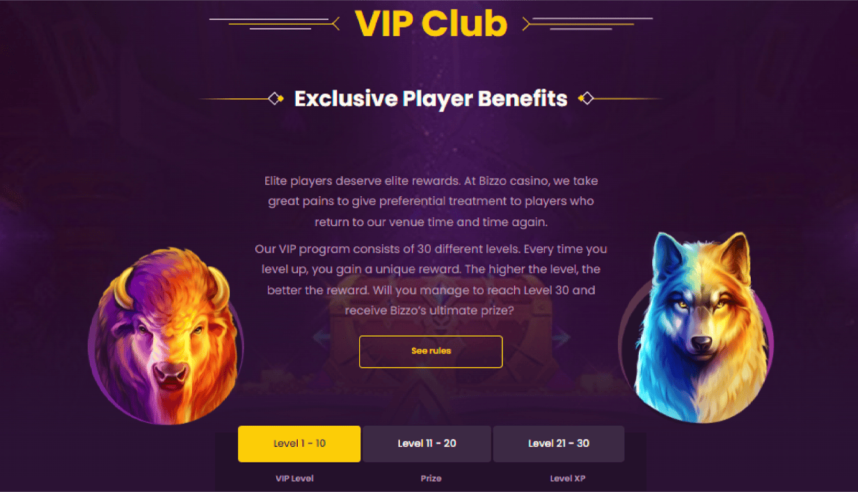 BizzoCASINO VIP Program
